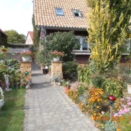 Vermiete Sehr Schoenes Apartment In Dankerode Im Harz Esterno foto