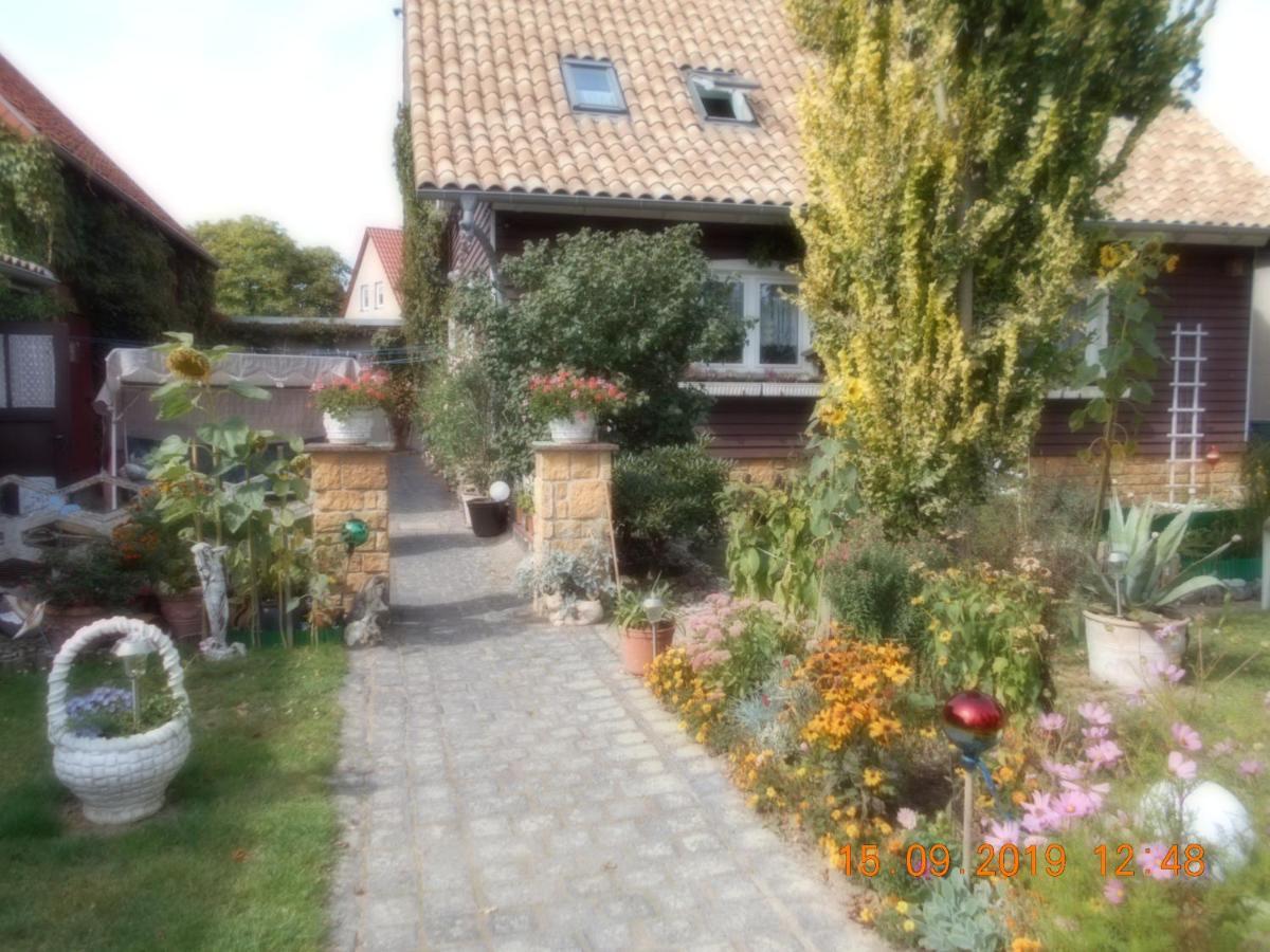 Vermiete Sehr Schoenes Apartment In Dankerode Im Harz Esterno foto