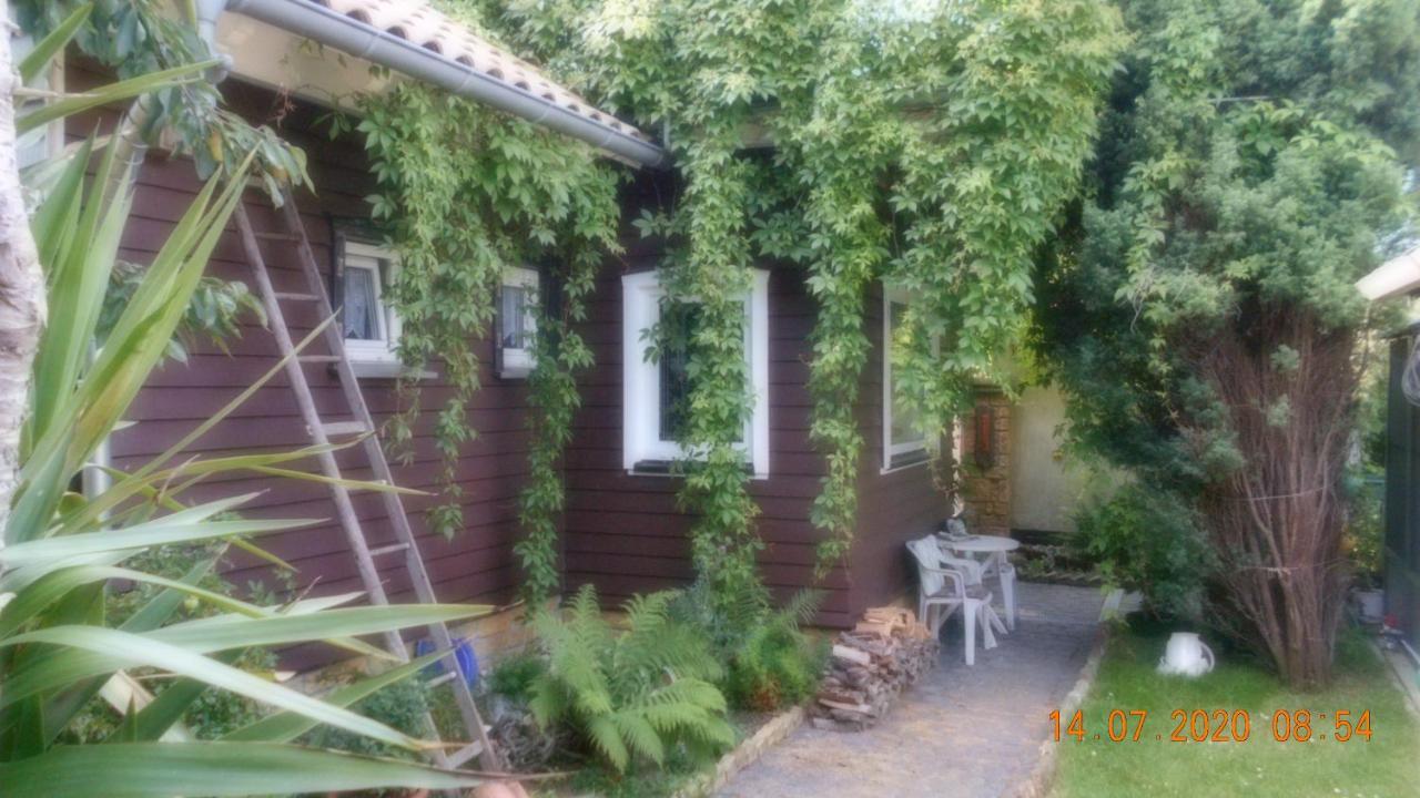 Vermiete Sehr Schoenes Apartment In Dankerode Im Harz Esterno foto