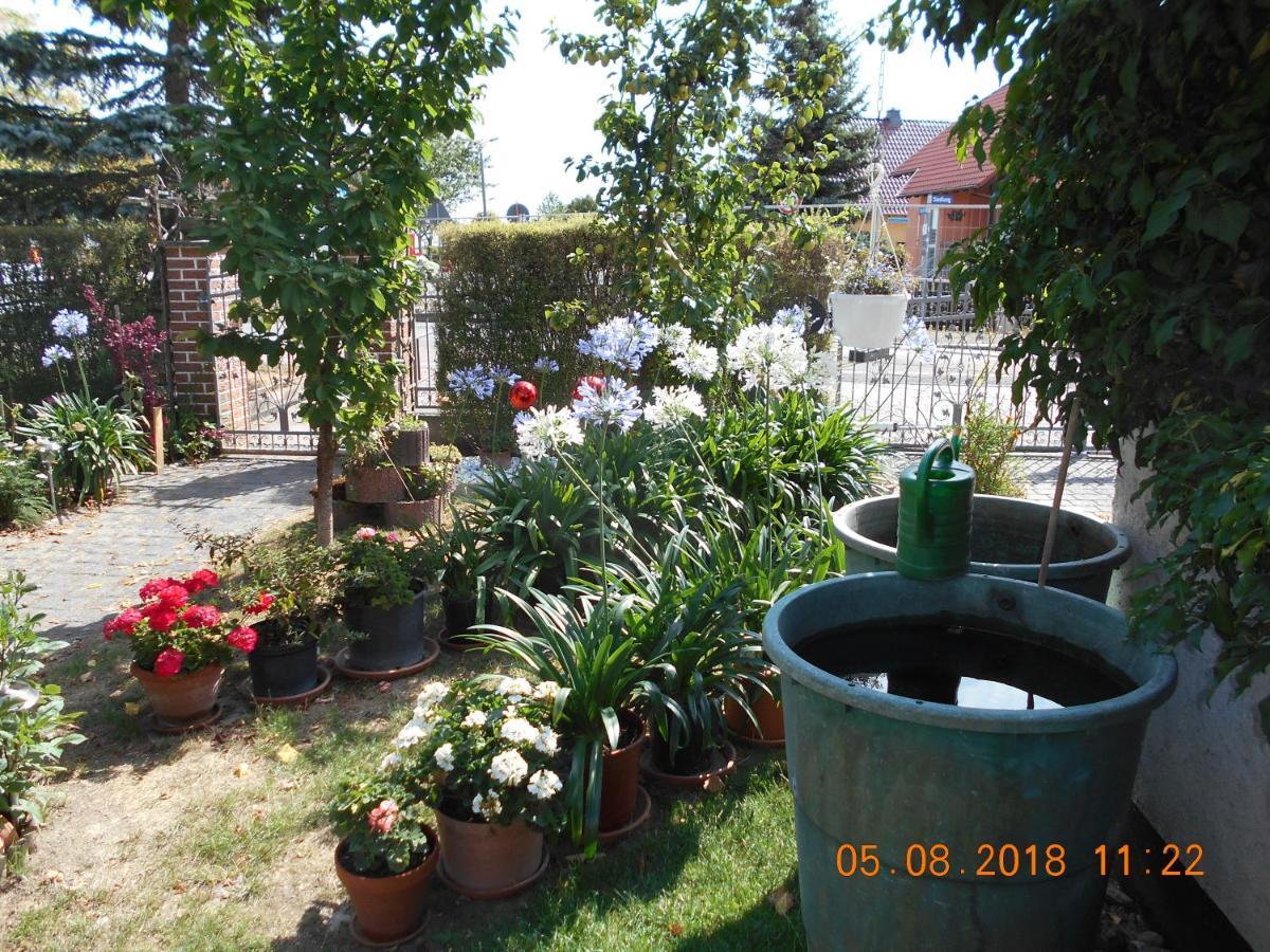 Vermiete Sehr Schoenes Apartment In Dankerode Im Harz Esterno foto